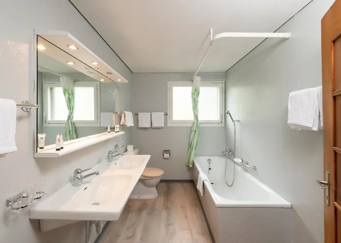 Cpm Apartament Grindelwald